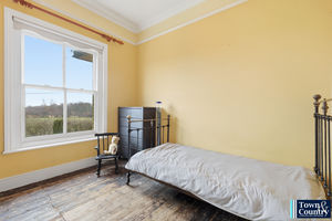 THE HAWK- click for photo gallery